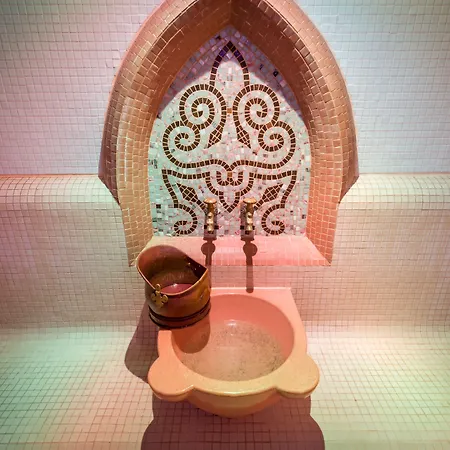 오르키데아 앤 스파 부쿠레슈티